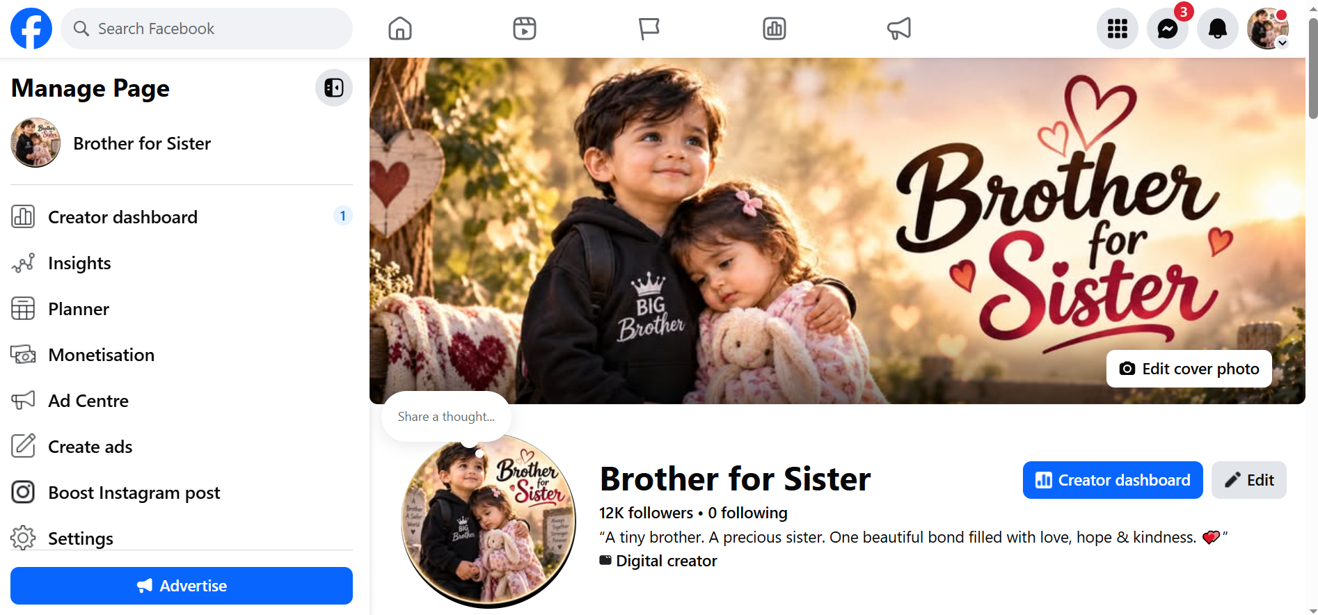 Brother for Sister analytics screenshot